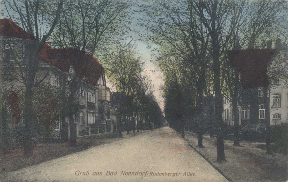 Rodenberger Allee um 1910 mit Linden bepflanzt