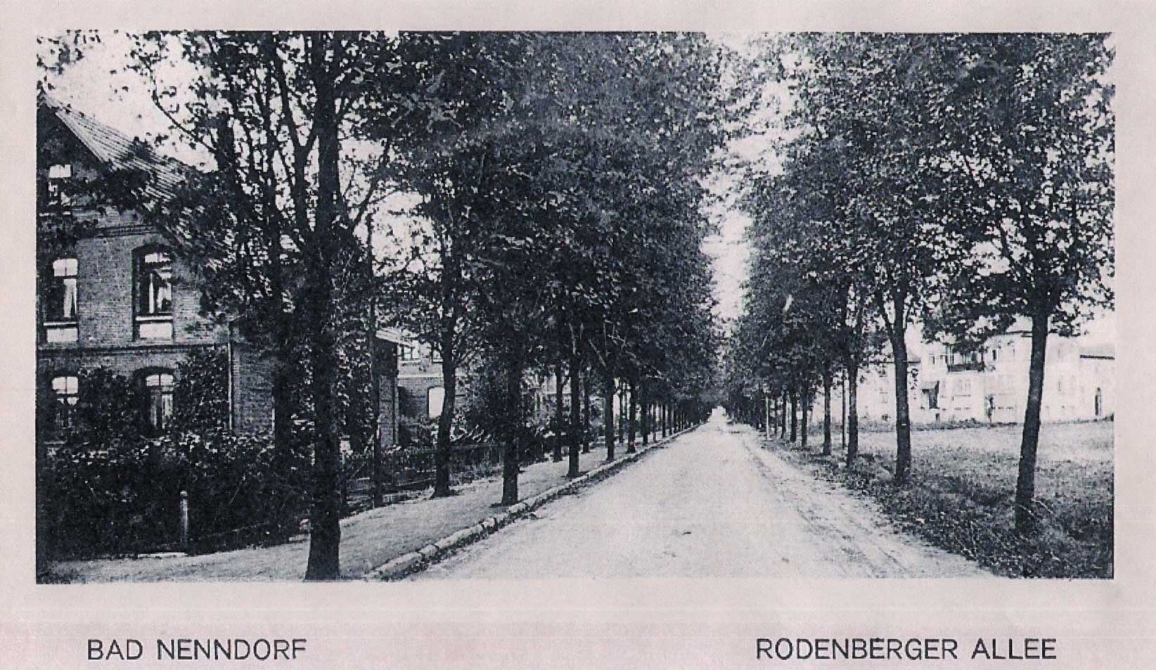 Blick Rodenberger Allee Richtung Kurpark